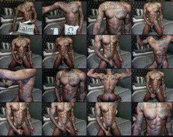 fitboss88