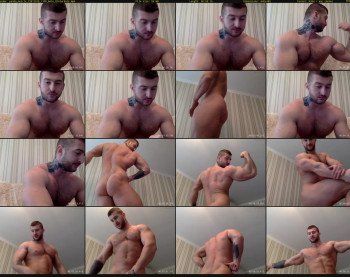 panda_muscle