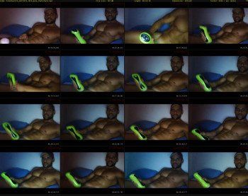 bronxbull19