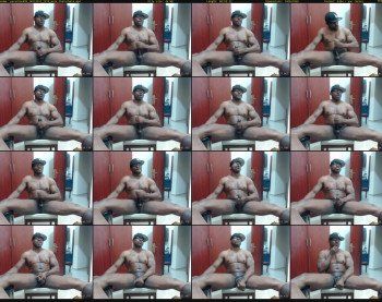 paradise699