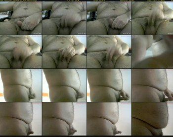 bearlustful