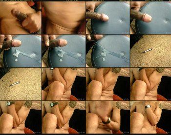 shad_69