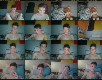 thom_fox