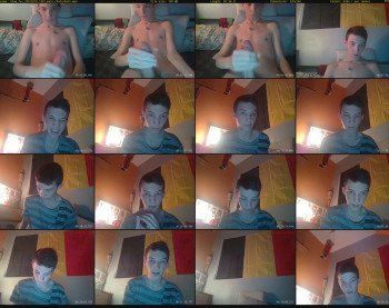 thom_fox