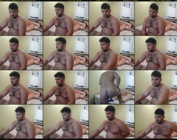 mr_bear1