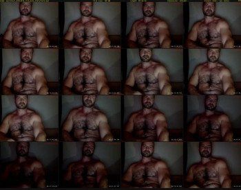 musclbear