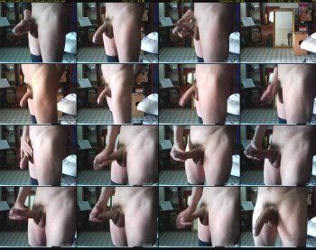 curricambi