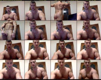 panda_muscle