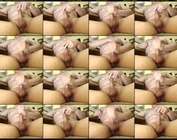 swallowme1