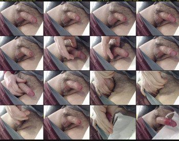 windy679