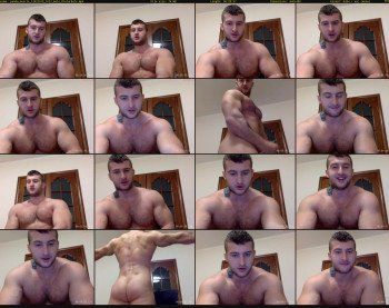 panda_muscle