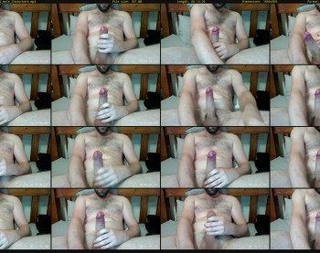 big_steina