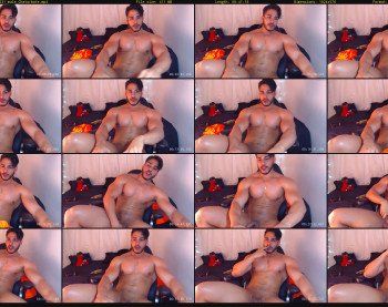 artemisswild