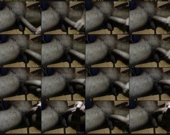 texasmeat88
