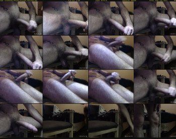 texasmeat88