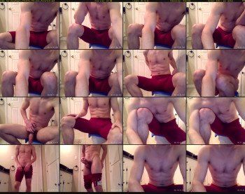harrybeanbags3