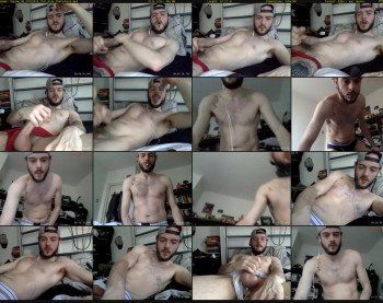 lupine_86