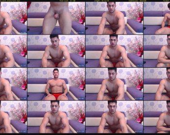 waynestar95