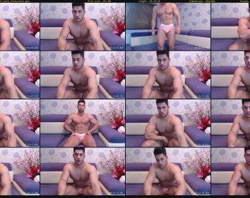waynestar95