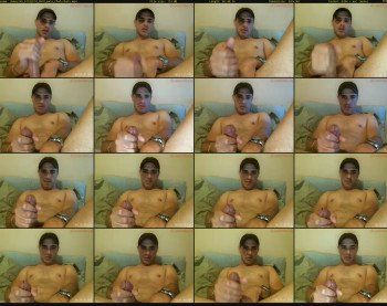 demos295