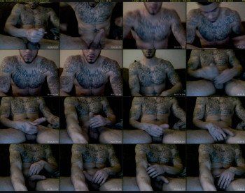 mixedfit