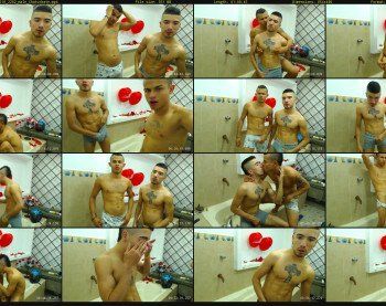 taylor_and_fercus