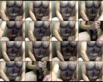 more_mammal