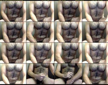 more_mammal