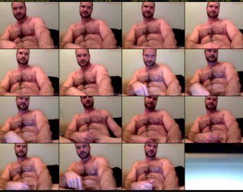 musclbear
