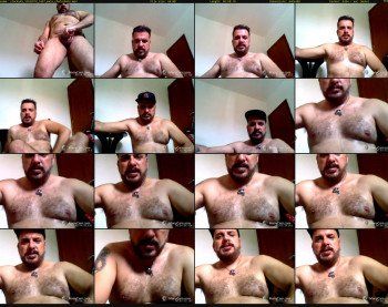 stocky45
