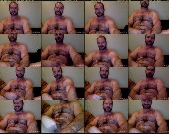 musclbear