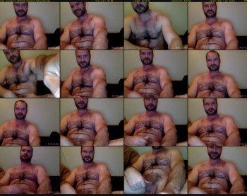 musclbear
