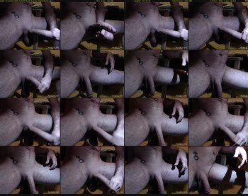 texasmeat88
