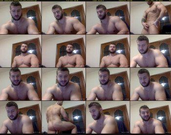 panda_muscle