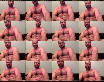 musclbear