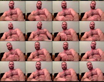 musclbear