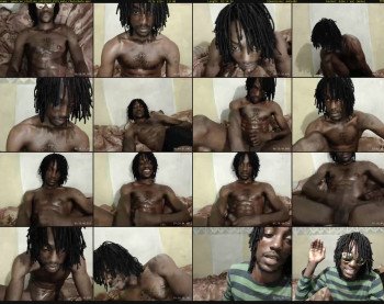 jamaican_stallion