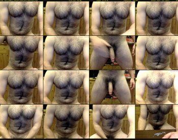 more_mammal
