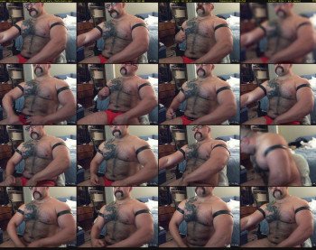 latinmusclebear