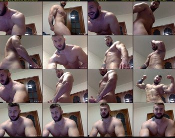 panda_muscle