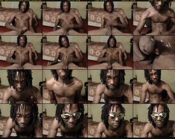 jamaican_stallion