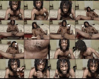 jamaican_stallion