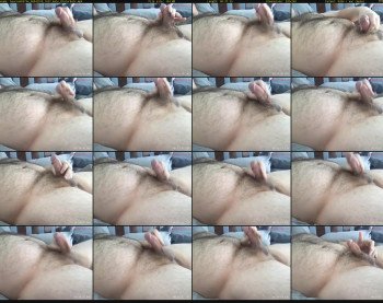 bearcum55744