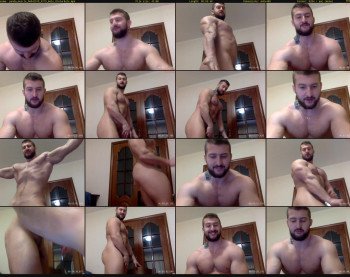 panda_muscle