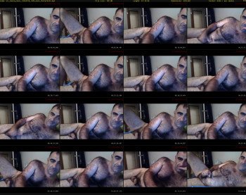mr_lonely_bear