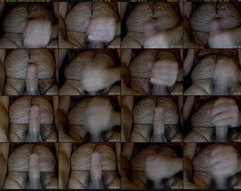 gurnsybear