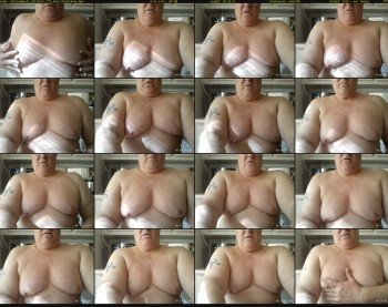 milkingabull