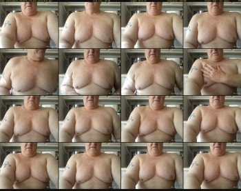 milkingabull
