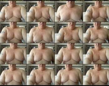 milkingabull