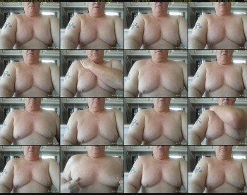 milkingabull